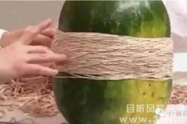 男子用700根皮筋勒西瓜脸被打肿 女子养水蛭当宠物父母骂其变态 - 壹悠家