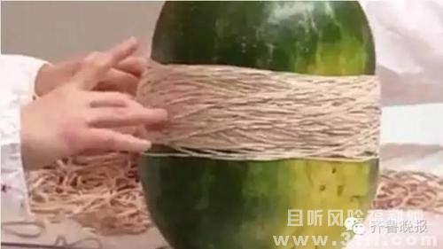 男子用700根皮筋勒西瓜脸被打肿 女子养水蛭当宠物父母骂其变态 - 壹悠家