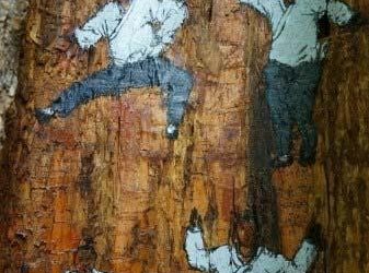 树洞惊现武功秘籍 大明湖畔不仅仅只有夏雨荷 - 壹悠家