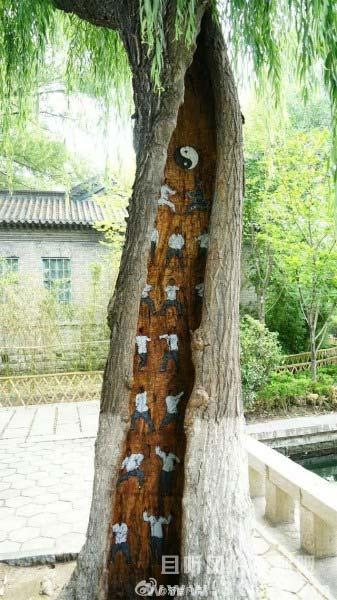 树洞惊现武功秘籍