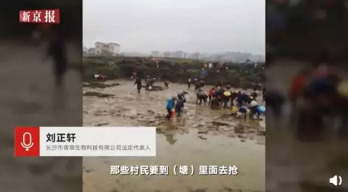 薅羊毛用户被封号 B站网红发动粉丝刷单700万弄垮网店 - 壹悠家