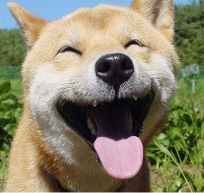 新闻哥吐槽：我们穿秋裤的理由都是妈妈觉得我们冷 - 壹悠家