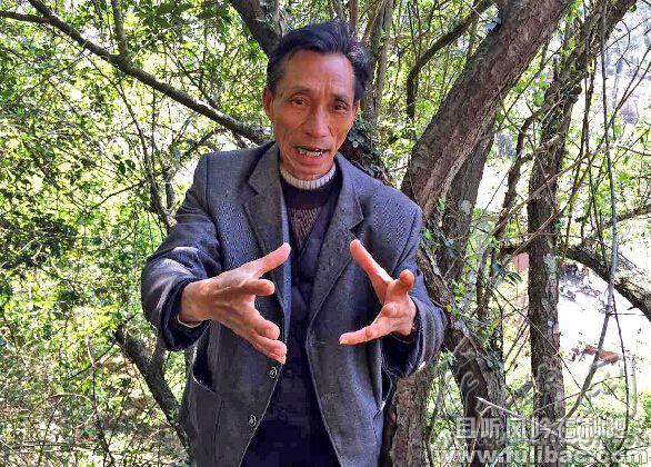 6米长老巨蟒出洞晒太阳 专家称正在谈恋爱 - 壹悠家