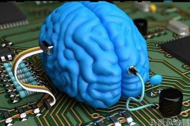 模拟人脑项目失败 科学的进步真的是一个漫长的过程 - 壹悠家
