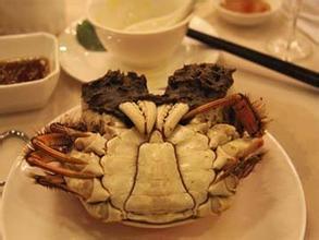 你是博士，就了不起吗？