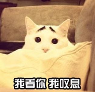 你是博士，就了不起吗？