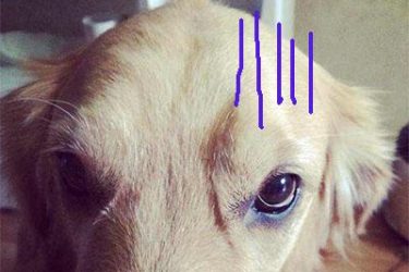 新闻哥吐槽：事后一支烟，真要当神仙！ - 壹悠家