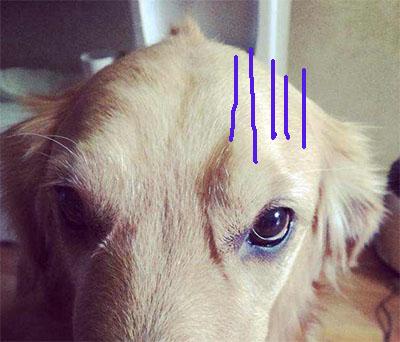 新闻哥吐槽：事后一支烟，真要当神仙！ - 壹悠家