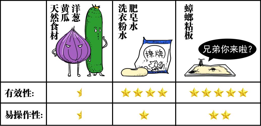 图片[15] - 让妹子夜夜尖叫的家伙到底有多强？ - 壹悠家