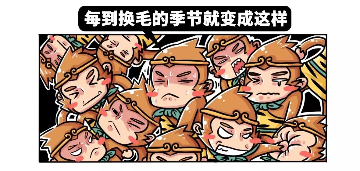 图片[5] - 99%的人至今没搞懂勒索病毒！ - 壹悠家