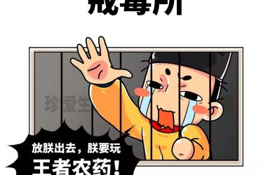 少年，来干了这瓶王者农药！ - 壹悠家