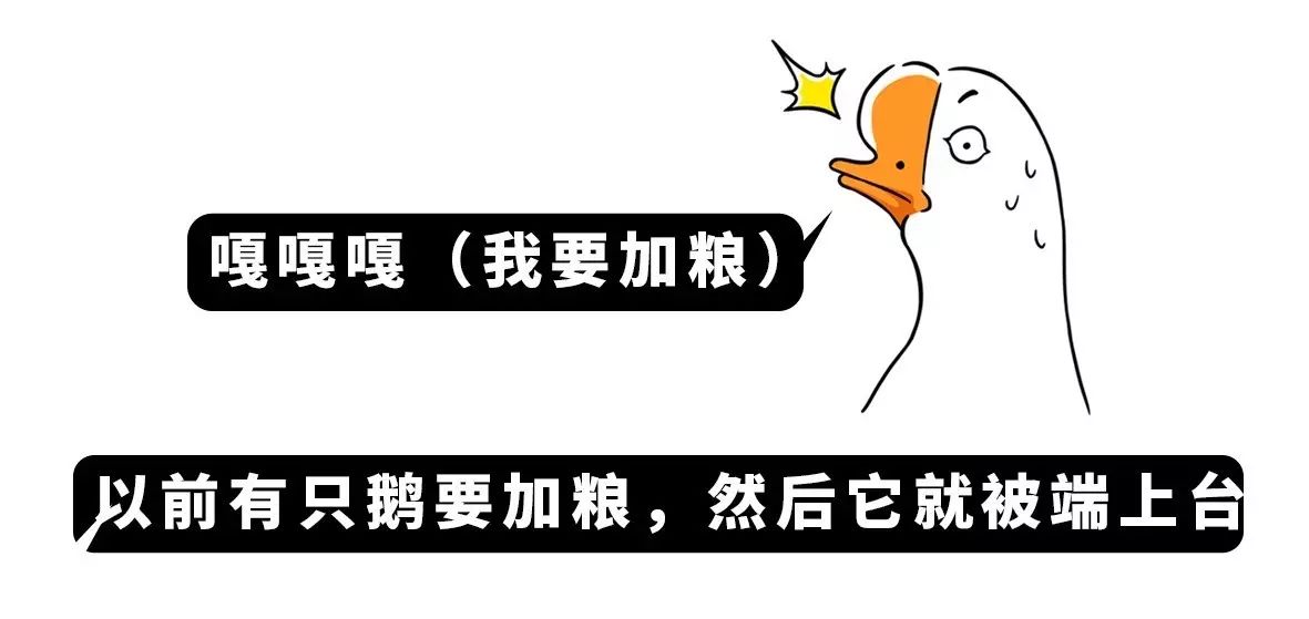 图片[17] - 如果你的老板是傻X，你会不会告诉他？ - 壹悠家