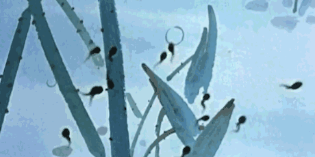 图片[12] - 想放屁、想哭、想便便却憋回去 你知道危害有多大吗？ - 壹悠家