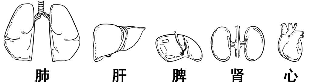 图片[3] - 什么才算真正的器大活好？看看科学的新发现！ - 壹悠家