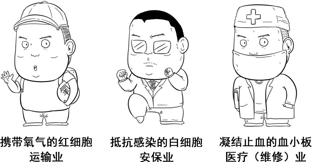 图片[5] - 什么才算真正的器大活好？看看科学的新发现！ - 壹悠家