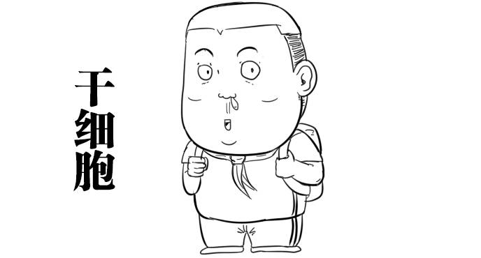 图片[6] - 什么才算真正的器大活好？看看科学的新发现！ - 壹悠家