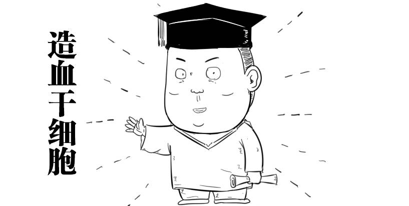 图片[7] - 什么才算真正的器大活好？看看科学的新发现！ - 壹悠家