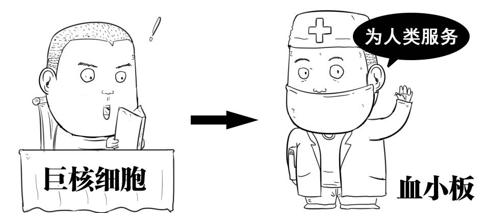 图片[10] - 什么才算真正的器大活好？看看科学的新发现！ - 壹悠家