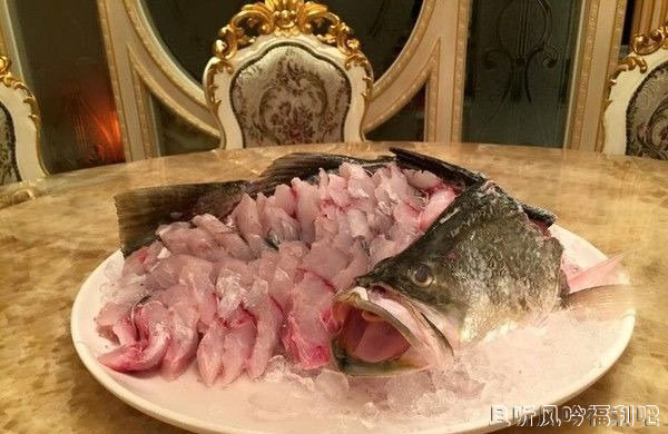 都市传说“人面鱼红衣小女孩”灵异事件真的发生了 - 壹悠家