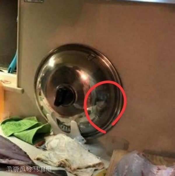 都市传说“人面鱼红衣小女孩”灵异事件真的发生了