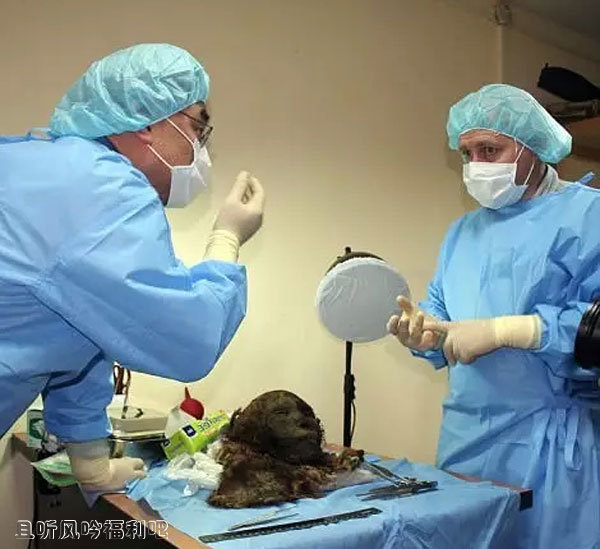 沉睡900年的北极公主真的很吓人啊 - 壹悠家