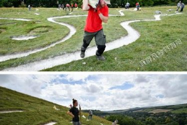 麦田怪圈其实就是闲得慌了搞出来的 - 壹悠家