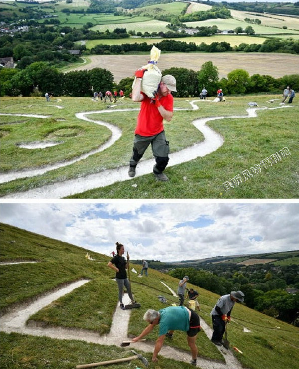 麦田怪圈其实就是闲得慌了搞出来的 - 壹悠家