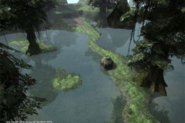 你相信沼泽中有活了2000多年的古树吗？ - 壹悠家