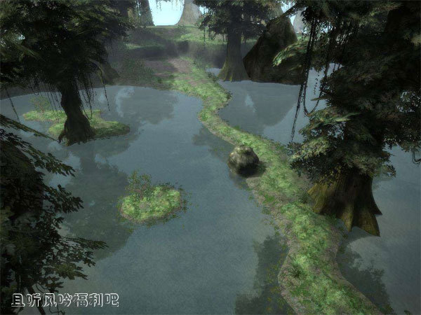 你相信沼泽中有活了2000多年的古树吗？ - 壹悠家