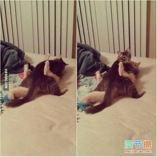 宅男娱乐秀 dvdes846 