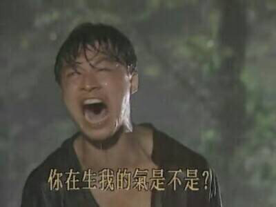 虐狗 秀恩爱 单身狗 