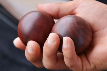 为了探究中国保健球的奥秘，上次解剖响尾蛇的国外父子来中国了！ - 壹悠家