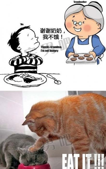 搞笑图片 你妈觉得你冷 你乃乃觉得你饿 