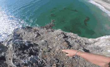 国外极限高空跳水视频 看的腿发软 心脏不好者慎看 - 壹悠家