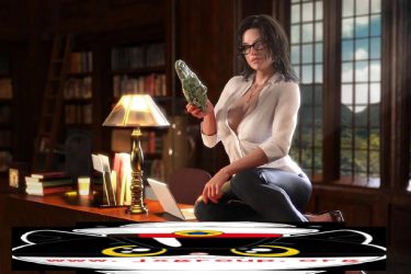 [纳迪亚之宝]Ver27041完整汉化版[PC][欧美RPG][不限速] - 壹悠家