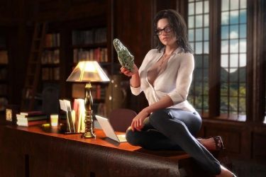 [纳迪亚之宝]ver25032完整汉化[欧美SLG][PC][不限速] - 壹悠家