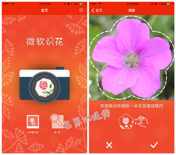 微软识花app，只需拍张照片就能知道花的名字！ - 壹悠家