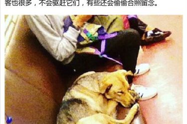 战斗民族的柔情一面：最好的状态，本该如此 - 壹悠家