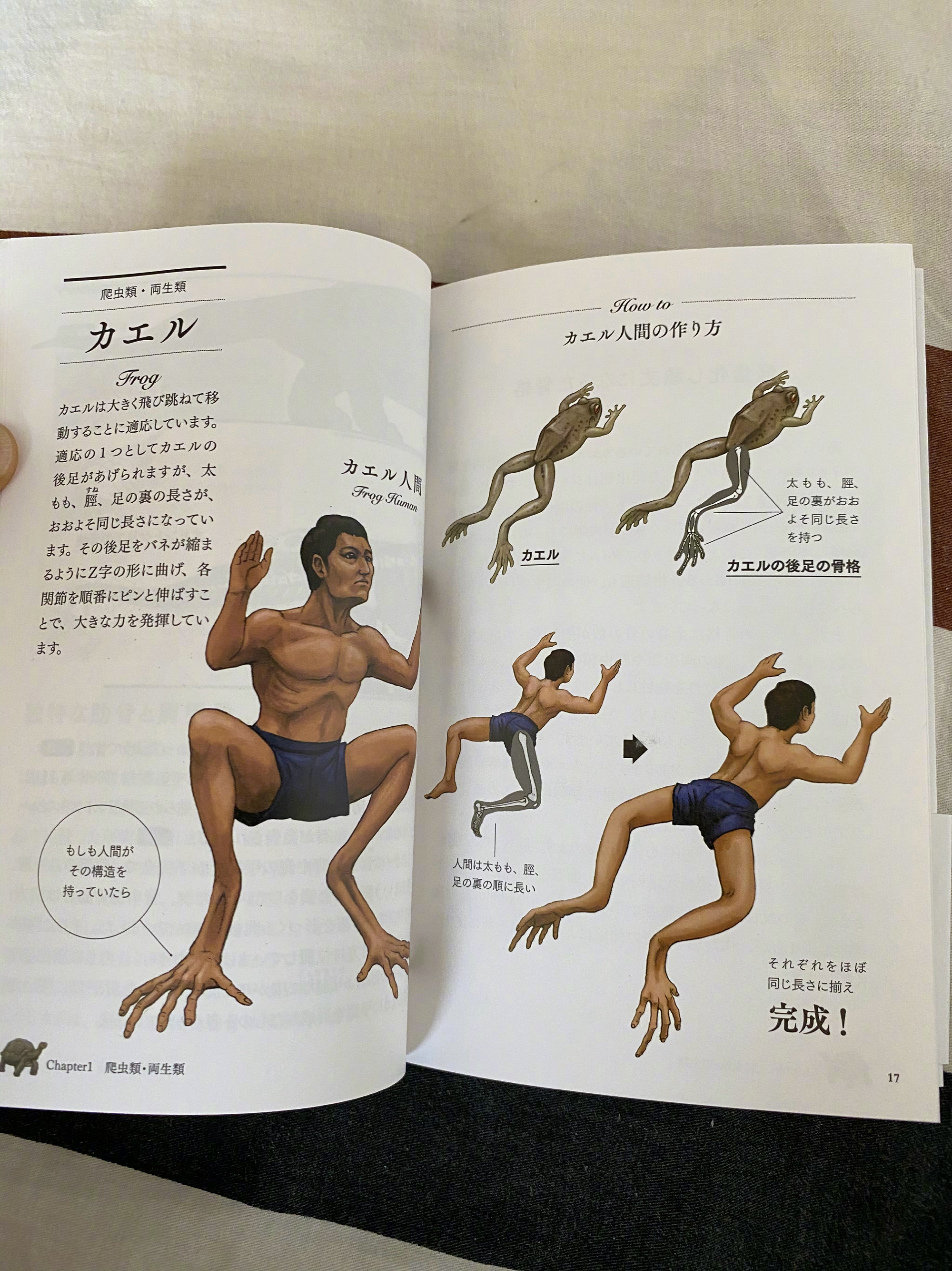 古生物画师川崎悟司的奇葩科普图鉴。