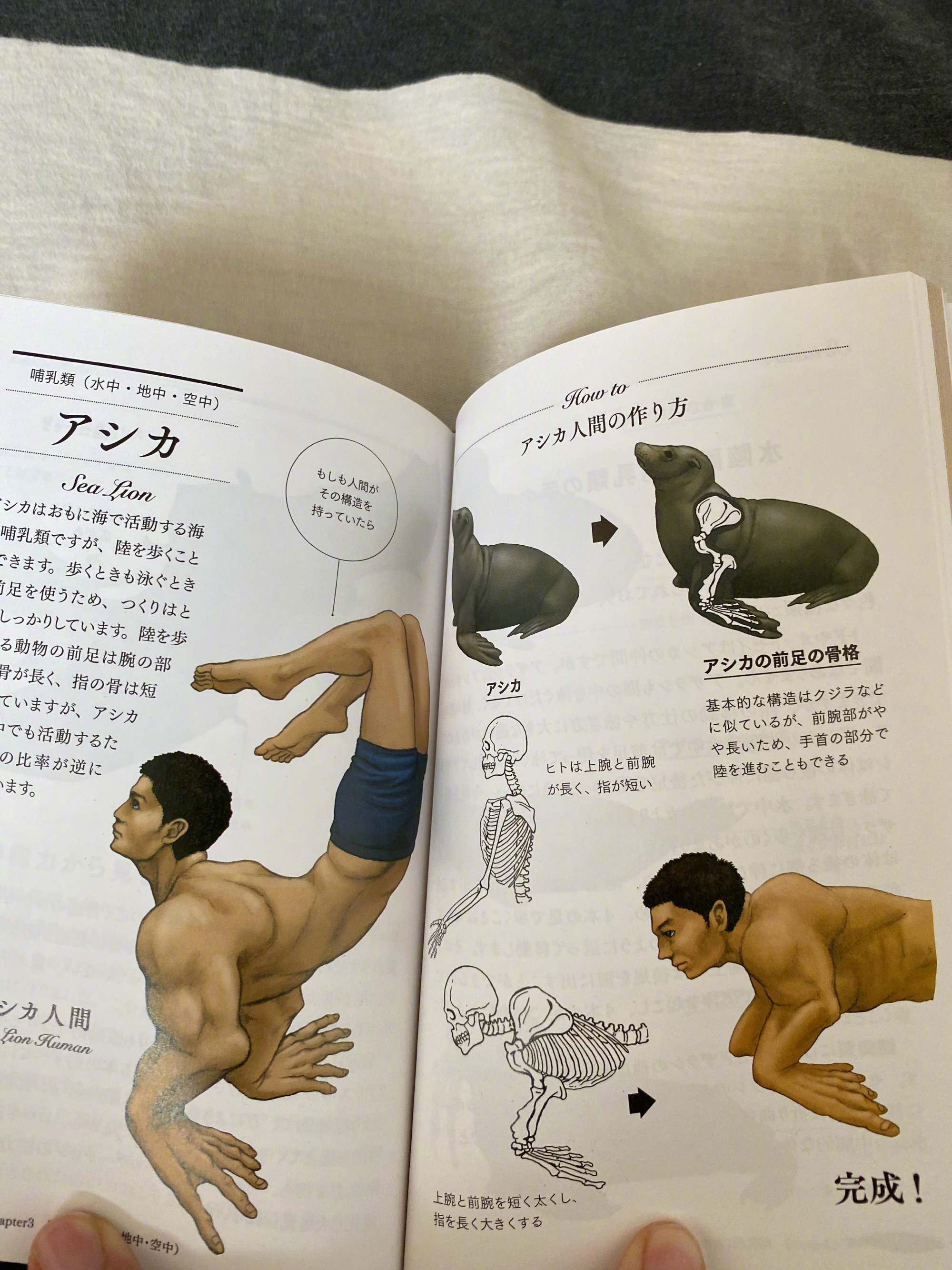 古生物画师川崎悟司的奇葩科普图鉴。