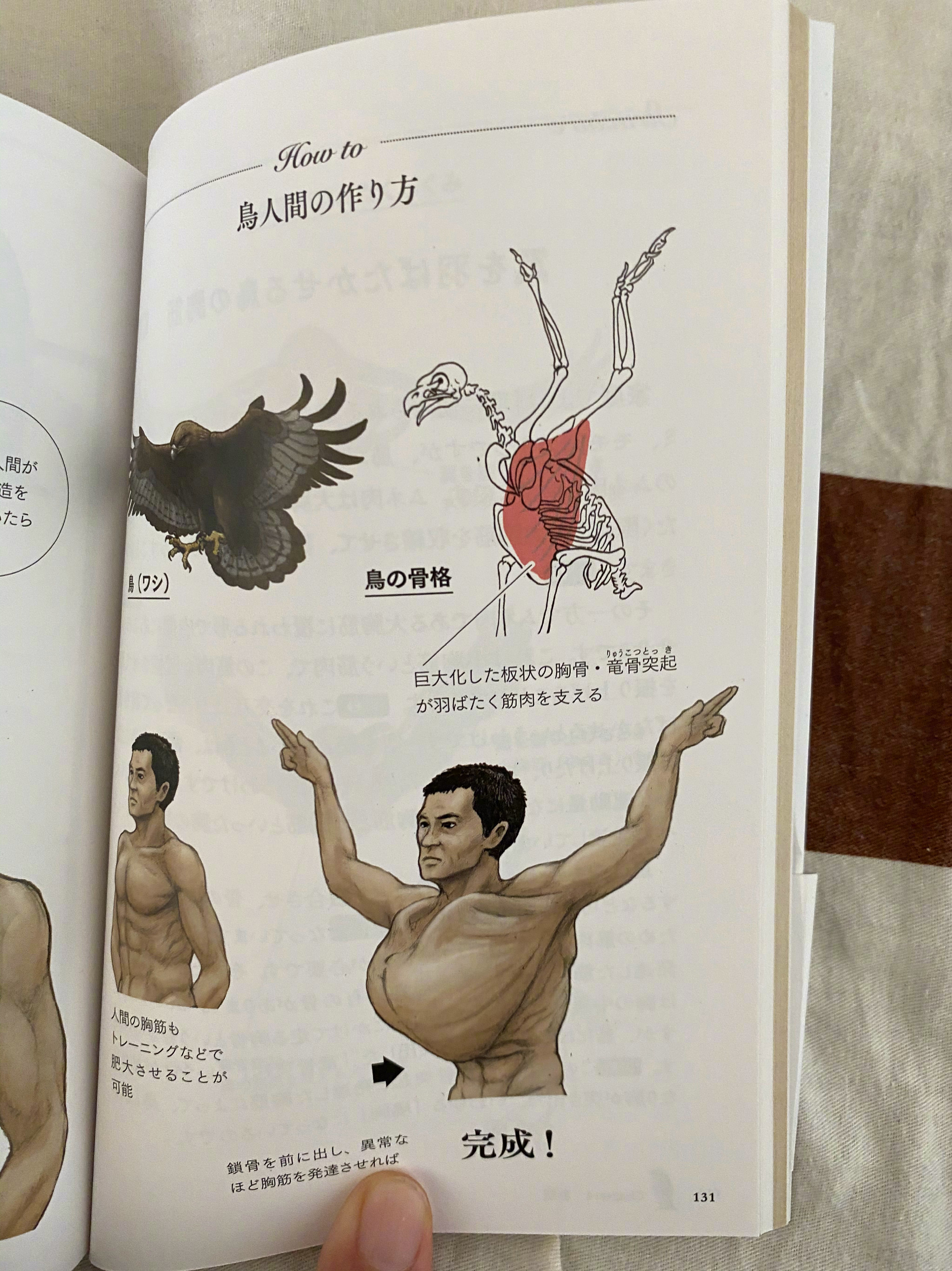 古生物画师川崎悟司的奇葩科普图鉴。