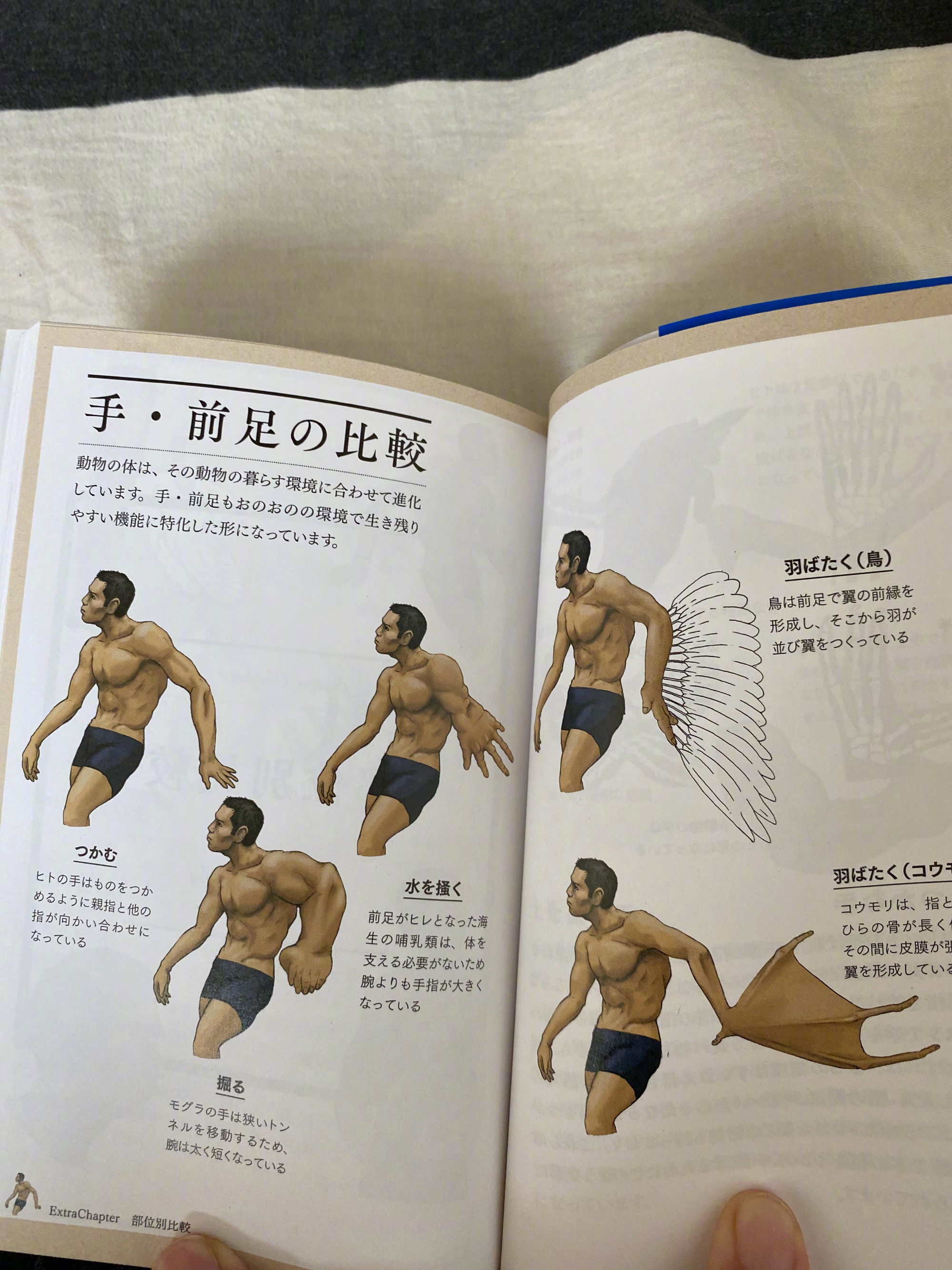 古生物画师川崎悟司的奇葩科普图鉴。