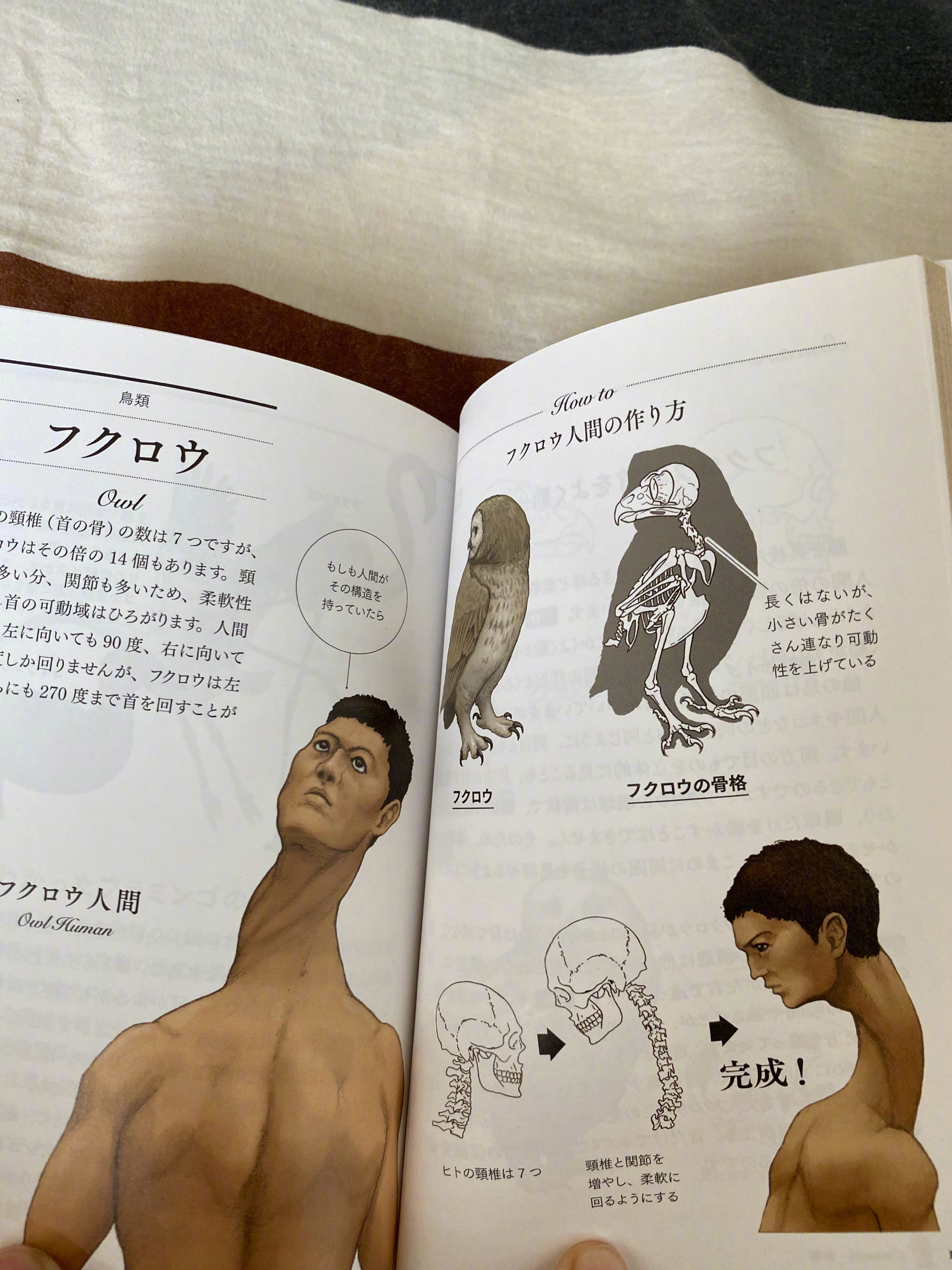 古生物画师川崎悟司的奇葩科普图鉴。