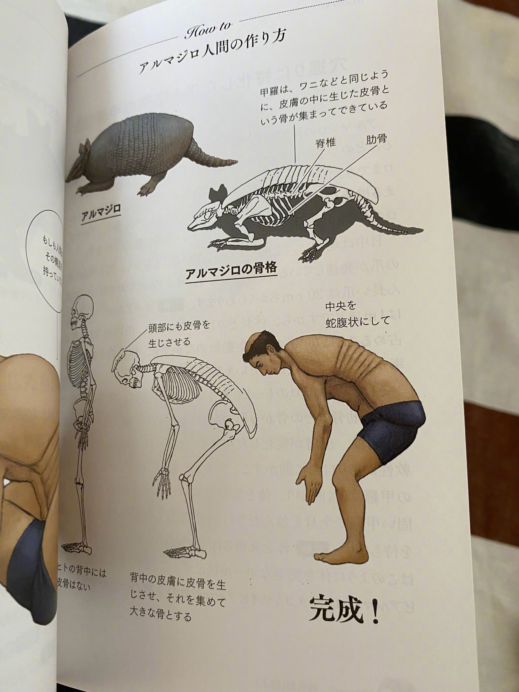 古生物画师川崎悟司的奇葩科普图鉴。