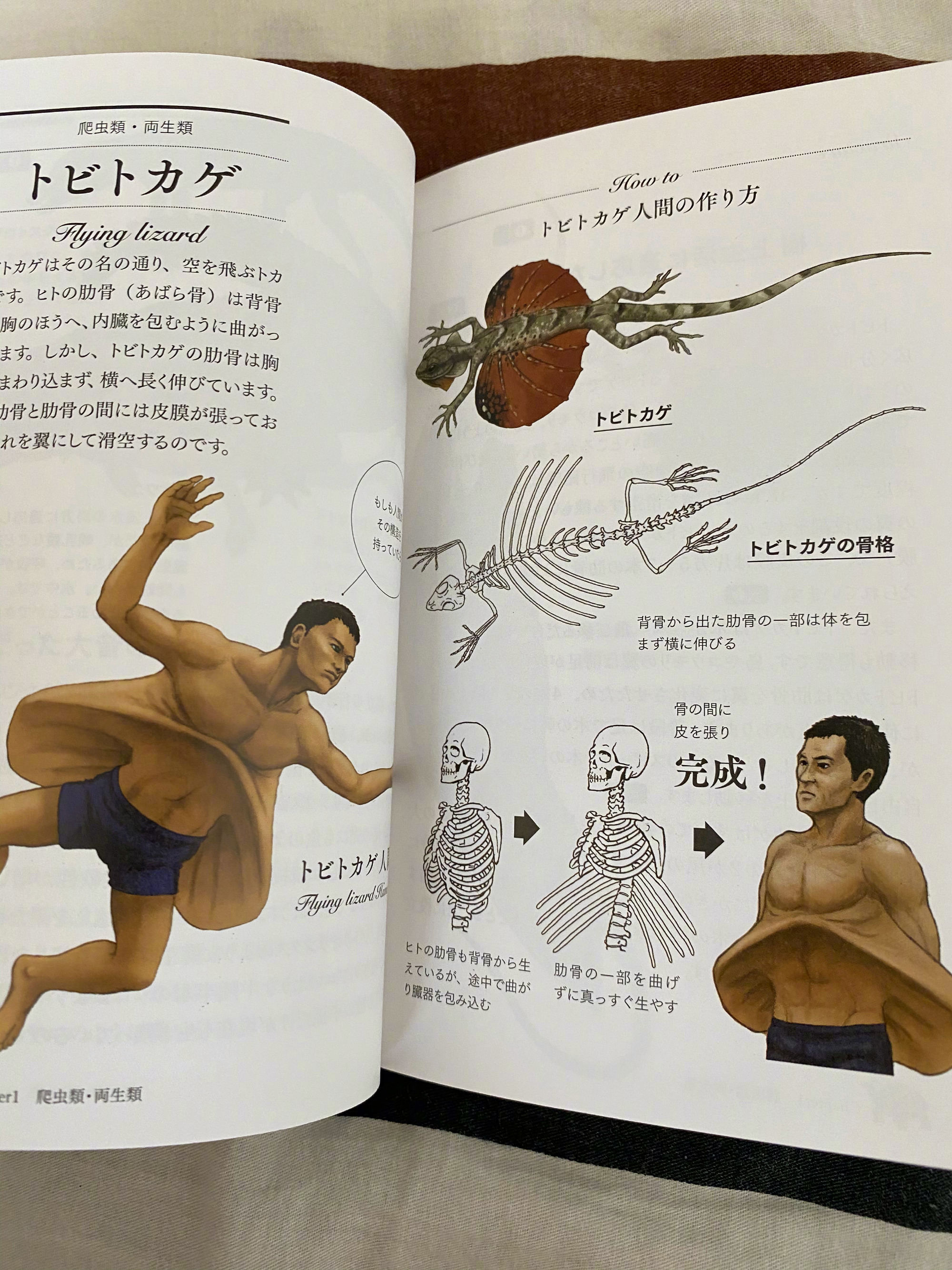 古生物画师川崎悟司的奇葩科普图鉴。