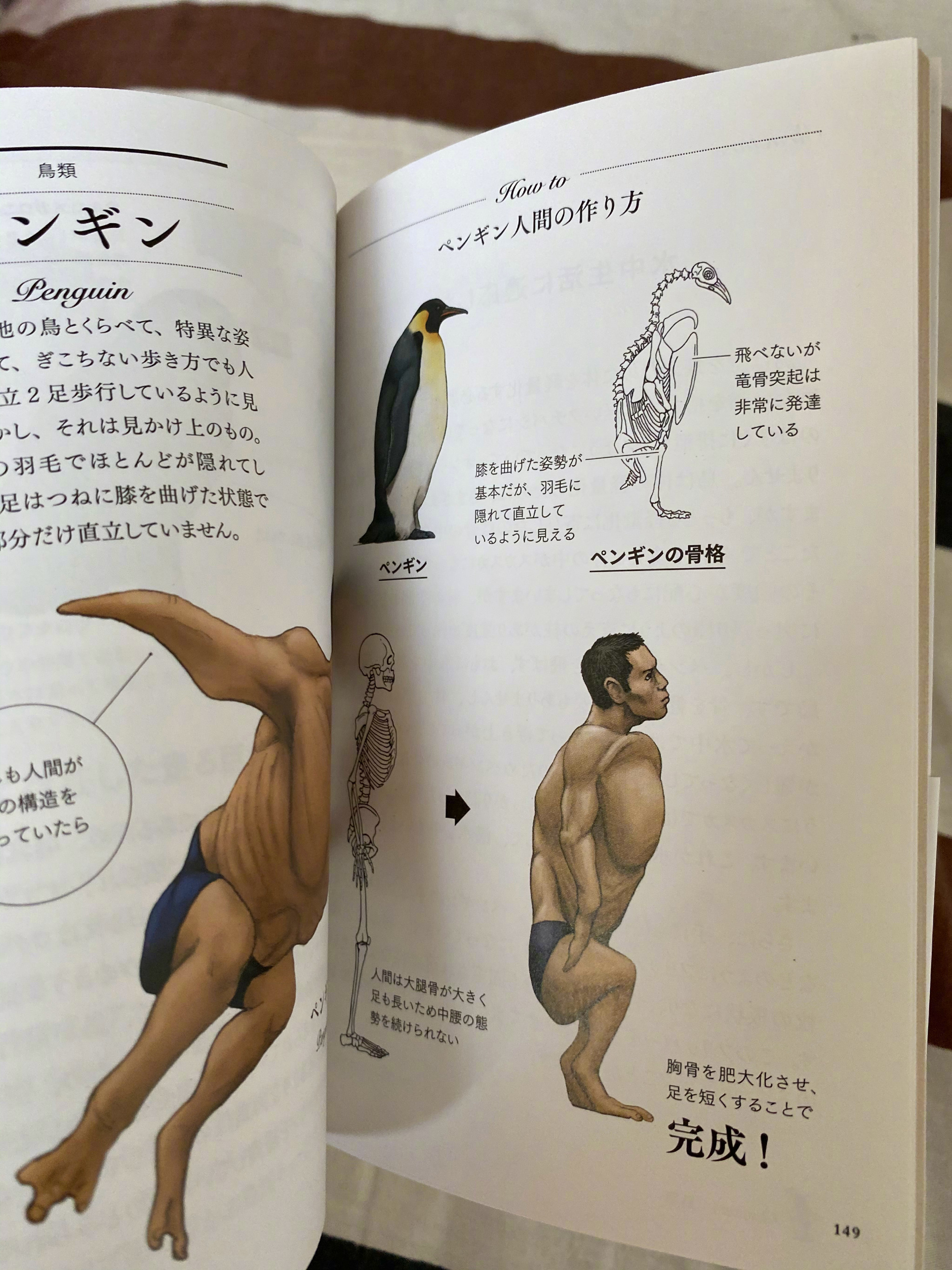 古生物画师川崎悟司的奇葩科普图鉴。