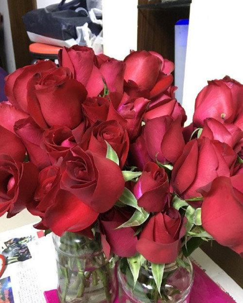 求婚玫瑰被炒成酱 男友心理阴影面积得多大啊 - 壹悠家