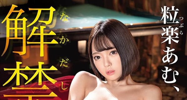 粒楽あむ(粒乐亚梦)最新作品ABW-344封面及内容欣赏 - 壹悠家