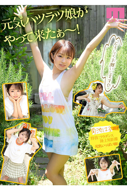 图片[3] - 菊池はる(菊池春)最新作品MIDV-541封面及内容欣赏 - 壹悠家