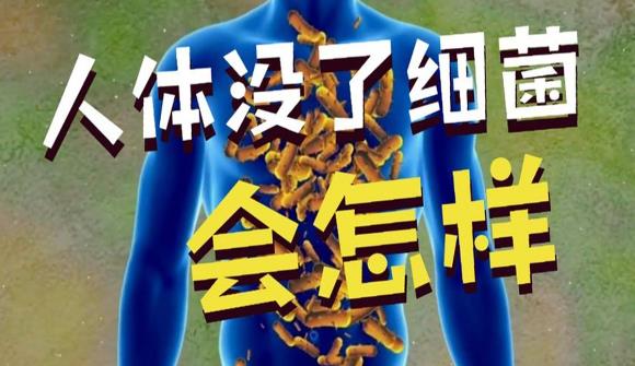 如果人体内所有细菌全部消失，会发生什么？ - 壹悠家